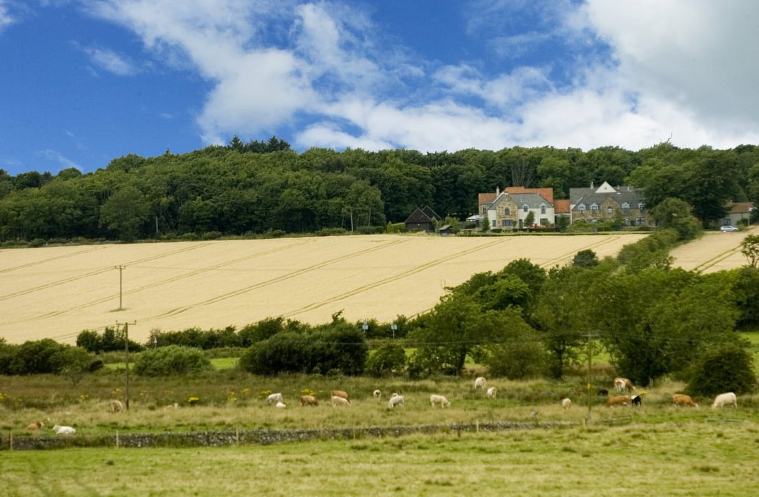 Secluded contemporary holiday houses near St Andrews Fife